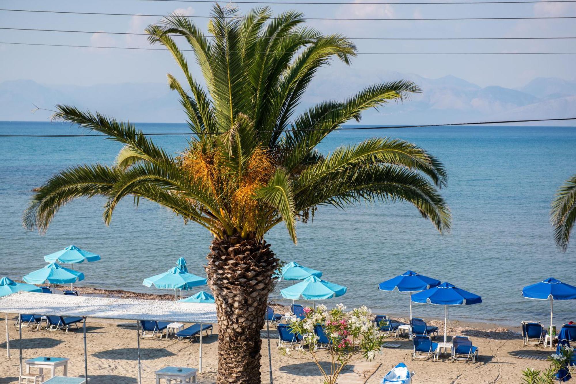 Aphrodite Beach Hotel Corfu Roda  Exteriör bild